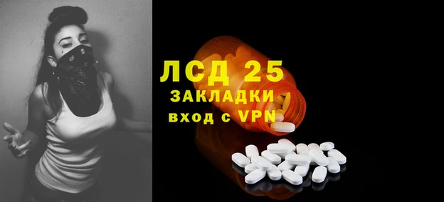 дмт Алексин