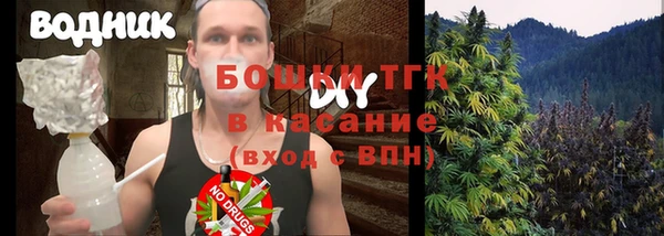 дмт Алексин