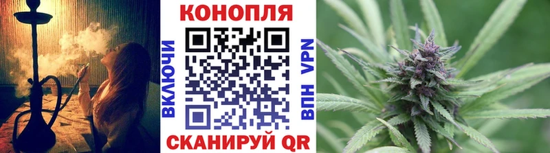 Каннабис конопля Черноголовка